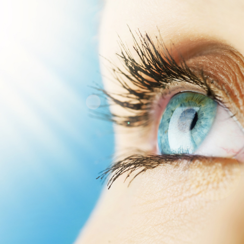 Eyes - Vision Health
