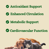 Heart Supplement for Pets - 100 Capsules