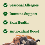 Allergy Supplement for Pets - 100 Capsules