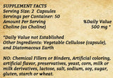 Choline - 100 Capsules