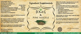DMG + Pine Needle - 100 Capsules