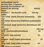 Epstein Barr Support - 100 Capsules