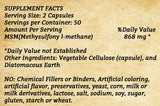MSM - 100 Capsules