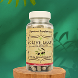 Olive Leaf - 100 Capsules