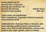 Turmeric - 100 Capsules