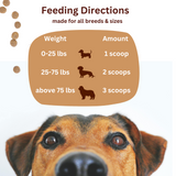 Probiotics & Prebiotics for Dogs and Cats - Powder