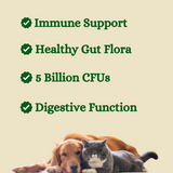 Gut Health with Pre & Probiotics for Dogs and Cats