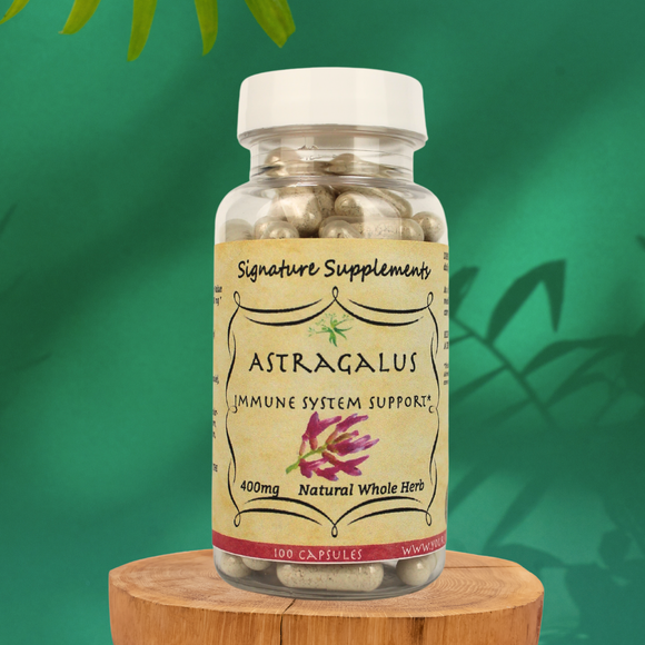 Astragalus - 100 Capsules