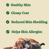 Skin & Coat Health for Dogs and Cats