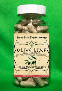Olive Leaf - 100 Capsules