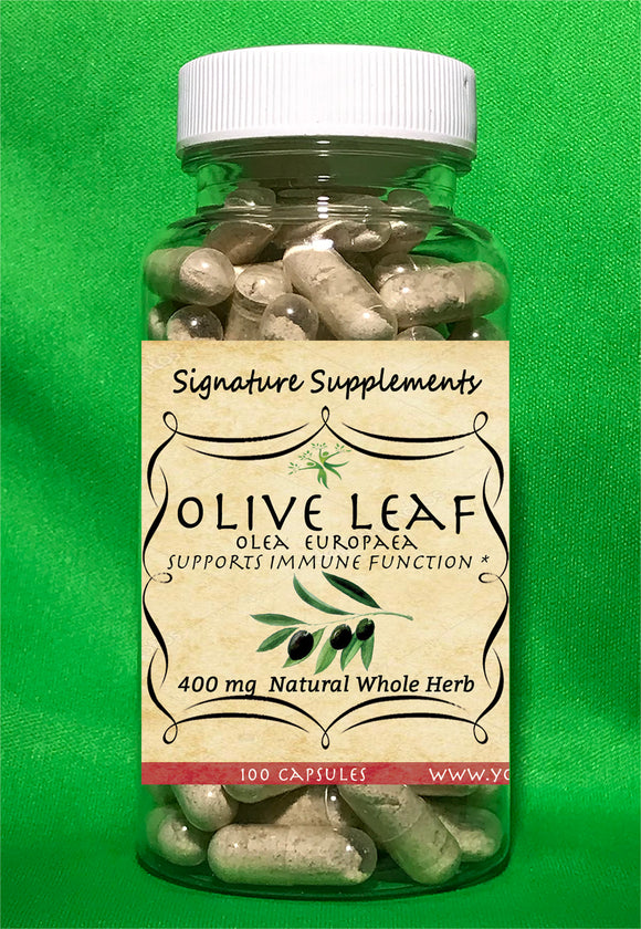 Olive Leaf - 100 Capsules