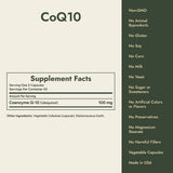 CoQ10 Supplement Facts and what it's free from