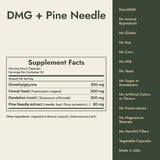 DMG + Pine Needle Supplement Facts and what it's free from