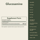 Glucosamine Supplement Facts and what it's free from