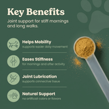 Joint Supplement for Pets - Powder