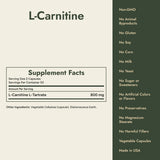 L-Carnitine Supplement Facts and what it's free from