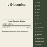 L-Glutamine Supplement Facts and what it's free from
