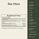 Sea Moss Supplement Facts and what it's free from